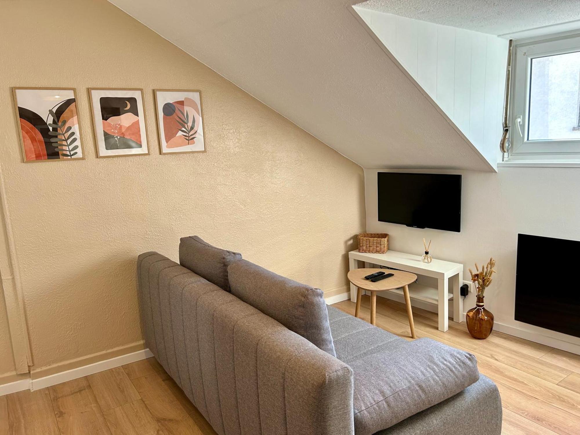 Apartament Douce Agathe - Duo-Groupe, Chaleureux, Tram 200M, Centre 10Min Strasburg Zewnętrze zdjęcie